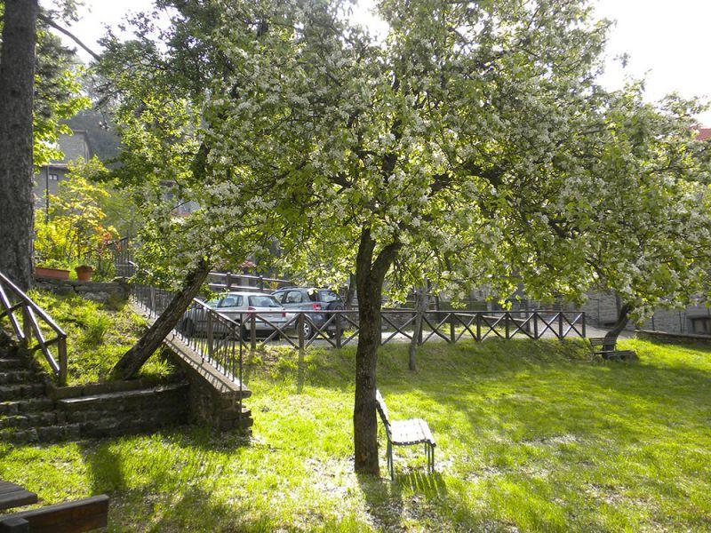 Albergo Ristorante Letizia Chiusi della Verna Bagian luar foto